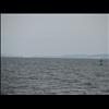 IMG_6543
3/21/2007 1:48:36 PM